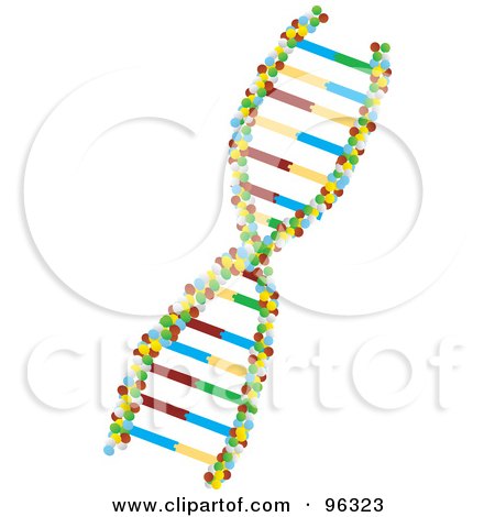Royalty-Free (RF) Clipart Illustration of a Twist of Colorful DNA by Rasmussen Images