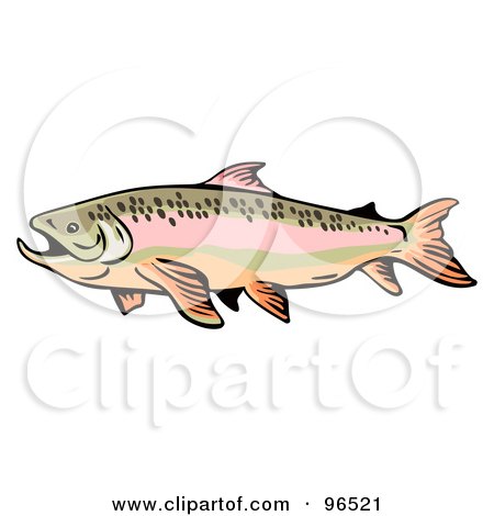 Royalty-Free (RF) Clipart Illustration of a Side View Of A Swimming Trout by patrimonio