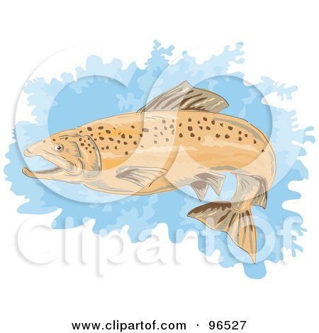 Royalty-Free (RF) Clipart Illustration of a Brown Trout Swimming Over A Blue Splatter Of Water by patrimonio