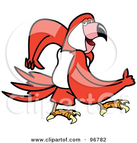 Royalty-Free (RF) Clipart Illustration of a Red Parrot Walking And Swinging His Arms by Andy Nortnik