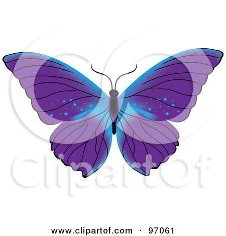 Royalty-Free (RF) Clipart Illustration of a Blue And Purple Butterfly With Open Wings by Pams Clipart