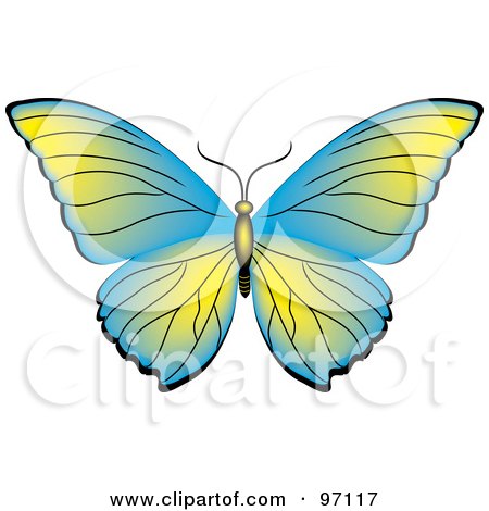Royalty-Free (RF) Clipart Illustration of a Blue And Green Butterfly With Open Wings by Pams Clipart