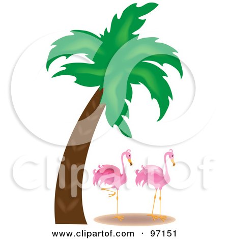 Royalty-Free (RF) Clipart Illustration of a Pink Flamingo Pair On A Beach Near A Palm Tree by Pams Clipart