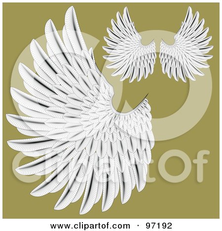 Royalty-Free (RF) Clipart Illustration of a Digital Collage Of Detailed White Feathered Wings by BestVector