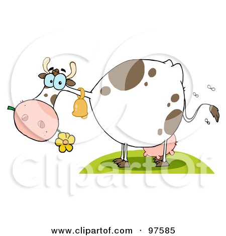 Royalty-Free (RF) Clipart Illustration of a Stinky Farm Cow Eating A Flower by Hit Toon