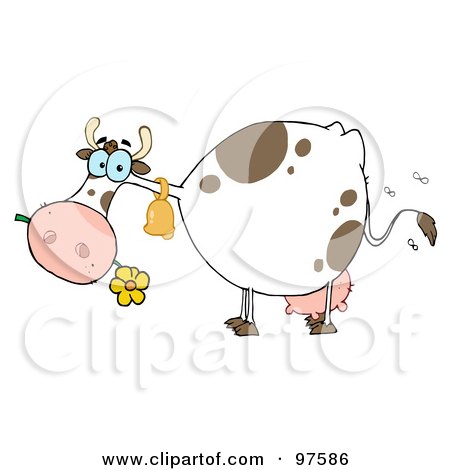 Royalty-Free (RF) Clipart Illustration of a Spotted Farm Cow Eating A Flower by Hit Toon