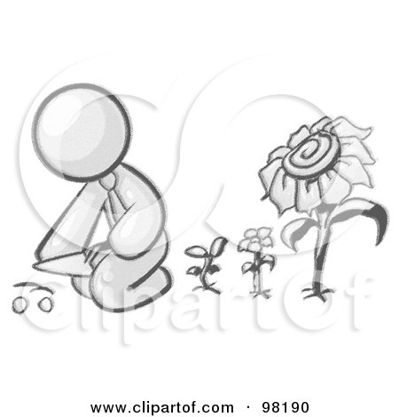 Royalty-Free (RF) Clipart Illustration of a Sketched Design Mascot Man Kneeling By Growing Sunflowers To Plant Seeds In A Dirt Hole In A Garden by Leo Blanchette