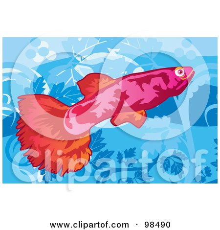 Royalty-Free (RF) Clipart Illustration of a Red Guppy Fish by mayawizard101