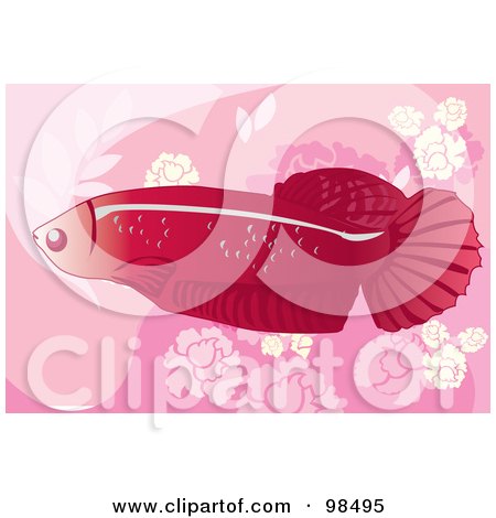 Royalty-Free (RF) Clipart Illustration of a Red Siamese Fighting Fish by mayawizard101