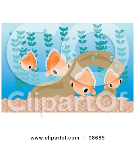 Royalty-Free (RF) Clipart Illustration of a Group Of Goldfish In An Aquarium by mayawizard101