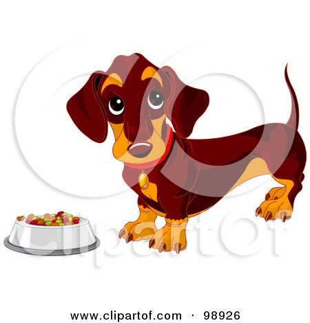 Royalty-Free (RF) Clipart Illustration of a Worshond Dog By A Bowl Of Food by Pushkin