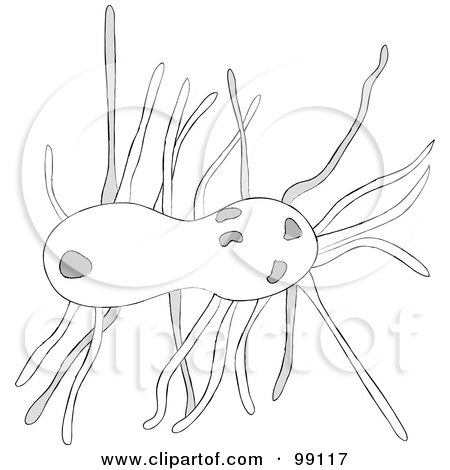 Royalty-Free (RF) Clipart Illustration of a Grayscale Microscopic Bacteria by Pams Clipart
