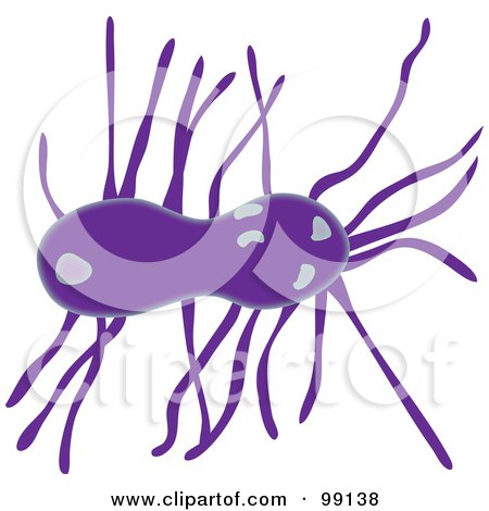 Royalty-Free (RF) Clipart Illustration of a Purple Microscopic Bacteria by Pams Clipart