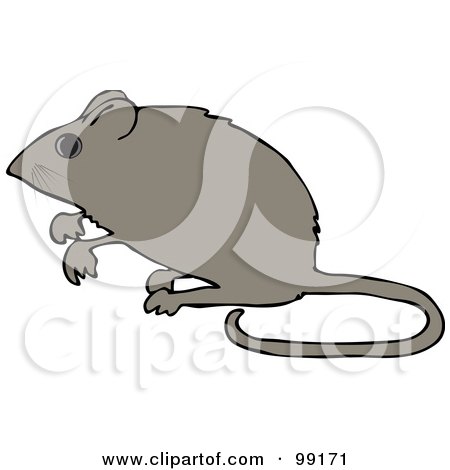 Royalty-Free (RF) Clipart Illustration of an Alert Mouse Standing Up On His Hind Legs by djart
