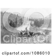 Spokane Indians On Horses Free Historical Stock Photography