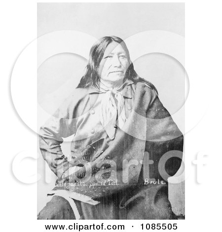 Spotted Tail, a Brule American Indian - Free Historical Stock Photography by JVPD