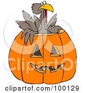 Poster, Art Print Of Turkey Bird Popping Out Of A Carved Halloween Pumpkin