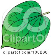 Royalty Free RF Clipart Illustration Of A Lush Green Leaf With Thick Veins