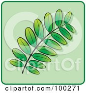 Royalty Free RF Clipart Illustration Of A Green Leaf Icon 6