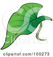 Royalty Free RF Clipart Illustration Of A Green Leaf