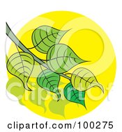 Royalty Free RF Clipart Illustration Of A Branch Of Leaves