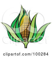 Poster, Art Print Of An Ear Of Corn With Green Foliage