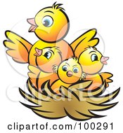 Poster, Art Print Of Mother Bird With Baby Birds In A Nest