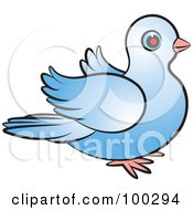 Poster, Art Print Of Blue Dove Flapping Right