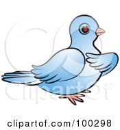Poster, Art Print Of Blue Dove Holding A Wing To Its Chest