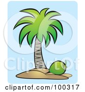 Poster, Art Print Of Coconut Below A Tree