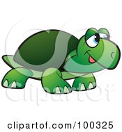 Poster, Art Print Of Happy Green Tortoise