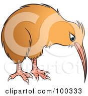 Royalty Free RF Clipart Illustration Of A Tan Kiwi Bird