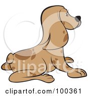 Poster, Art Print Of Brown Puppy Dog Facing Right