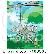 Poster, Art Print Of Gray Jungle Monkey Eating A Banana