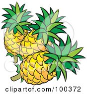 Royalty Free RF Clipart Illustration Of Three Pineapples by Lal Perera