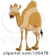 Happy Camel Smiling