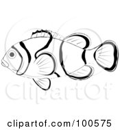 Profiled Black And White Clown Fish