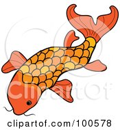 Orange Swimming Koi Fish