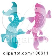 Two Blue And Pink Koi Fish Swimming Beside Each Other