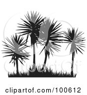 Poster, Art Print Of Four Silhouetted Palm Trees And Grass