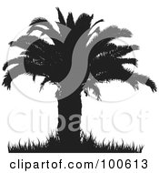 Poster, Art Print Of Silhouetted Palm Tree With A Thick Trunk And Foliage And Grass