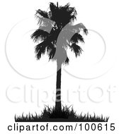 Royalty Free RF Clipart Illustration Of A Silhouetted Tall Palm Tree With Grass