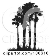 Royalty Free RF Clipart Illustration Of Four Tall Silhouetted Palm Trees And Grass