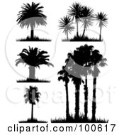 Digital Collage Of Five Silhouetted Palm Tree Scenes With Grass