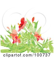 Poster, Art Print Of Background Of Red Flowers And Green Foliage Over White