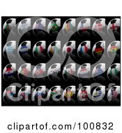 Poster, Art Print Of Digital Collage Of 3d Flag Soccer Balls Of All Soccer World Cup 2010 Participating Countries On Black