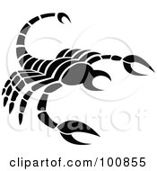Poster, Art Print Of Black And White Scorpion Scorpio Zodiac Icon