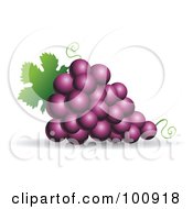 Royalty Free RF Clipart Illustration Of A 3d Realistic Purple Grape Bundle