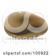 Royalty Free RF Clipart Illustration Of A 3d Realistic Russet Potato
