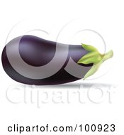 Royalty Free RF Clipart Illustration Of A 3d Realistic Purple Eggplant by cidepix